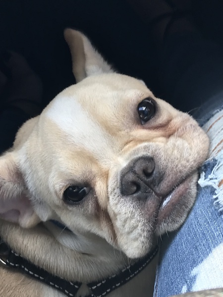 Riley