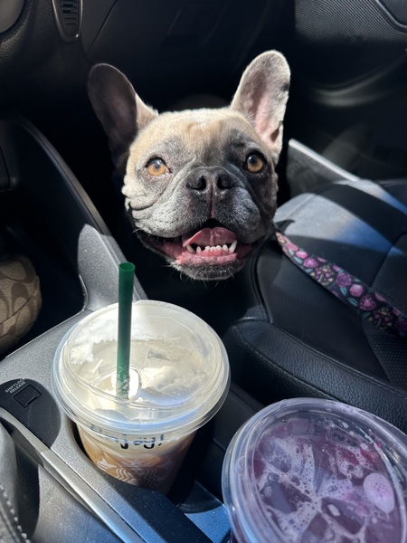 Franchesca “Frankie”