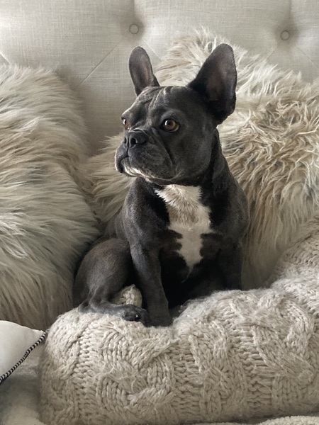 Miss Lola
