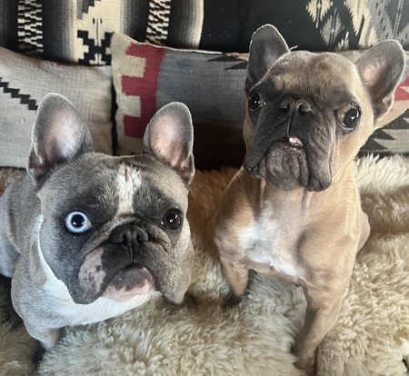 Lola Peach and Malcolm of the Moon