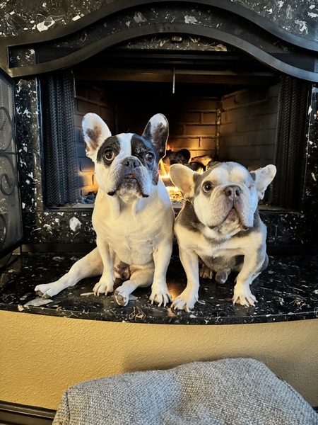 Brutus & Rufus