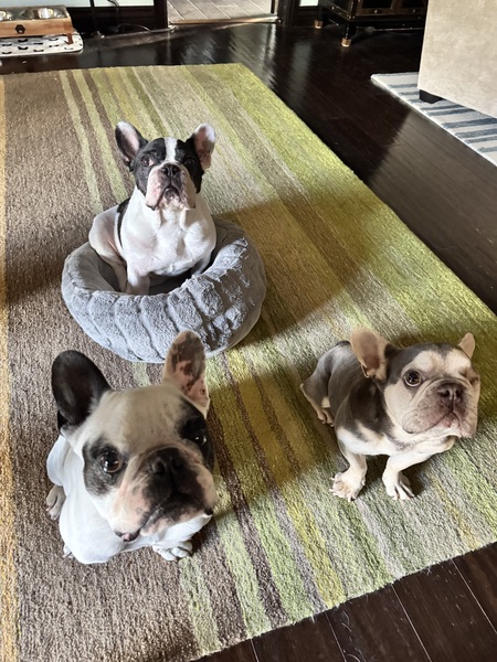 Titus, Rufus & Janus