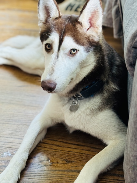 Kaiah