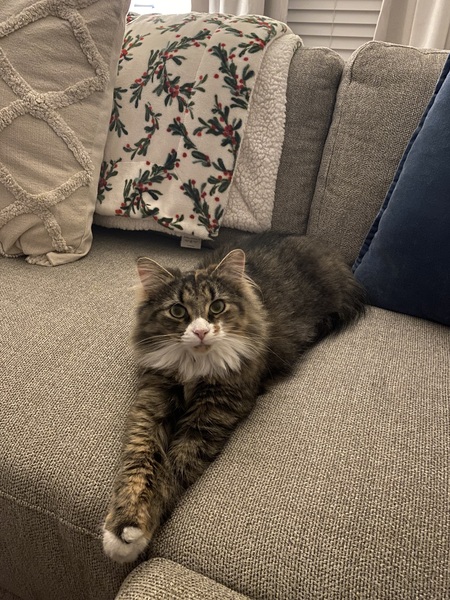 Sophie