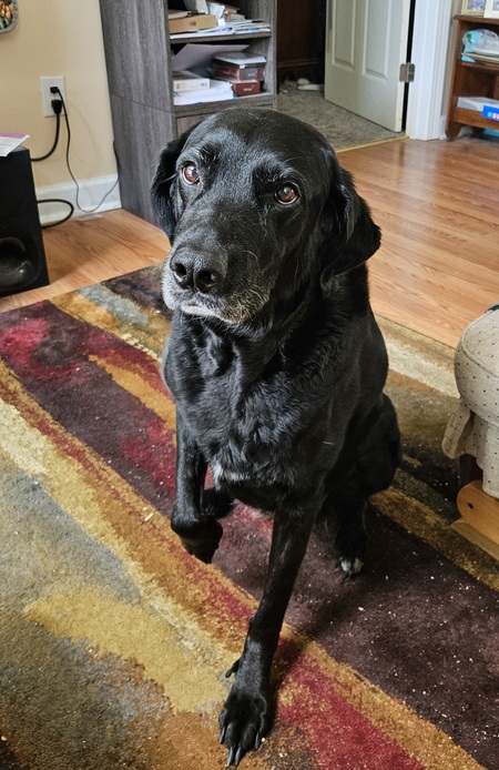 Riley 