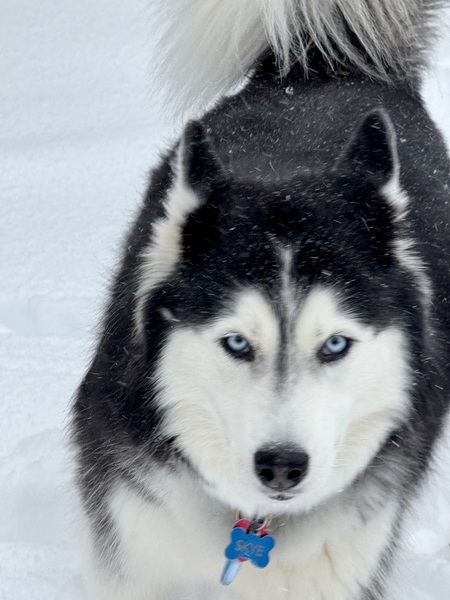 Skye