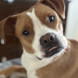 Entry image for Duncan