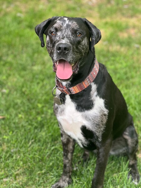 Cooper
