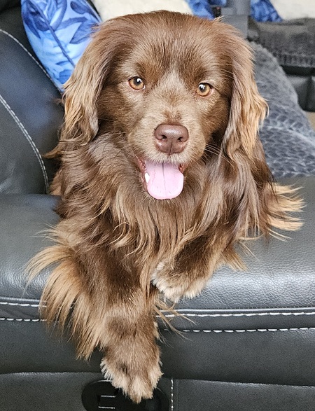 Mocha