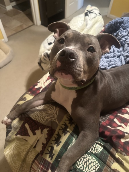Milo