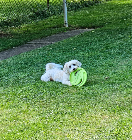 Charlie