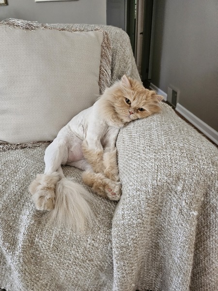 Theodore 