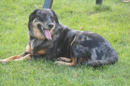 Benny