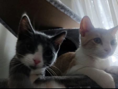 Lita & Leo