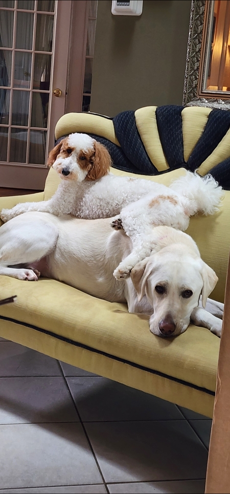 Leo & AJ