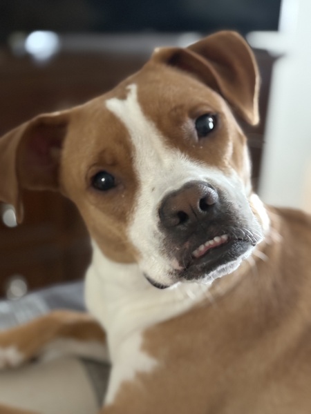 Entry image for Duncan. Clicking this image will show a larger photo