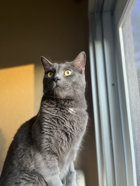 Astro