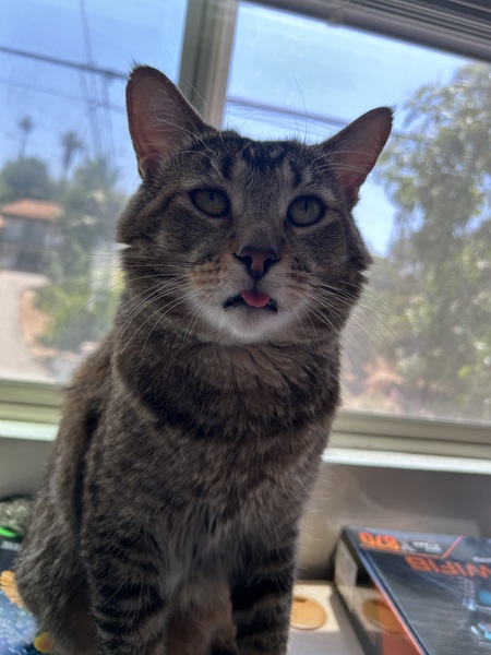 Tom