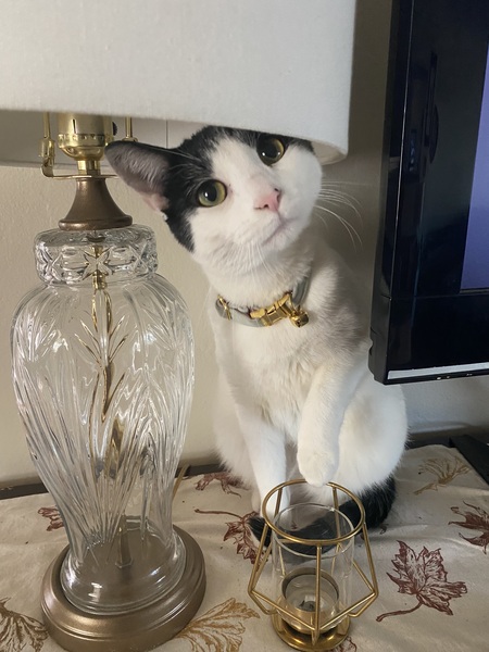 Penelope (Penny)