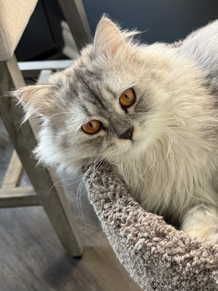 Eugene