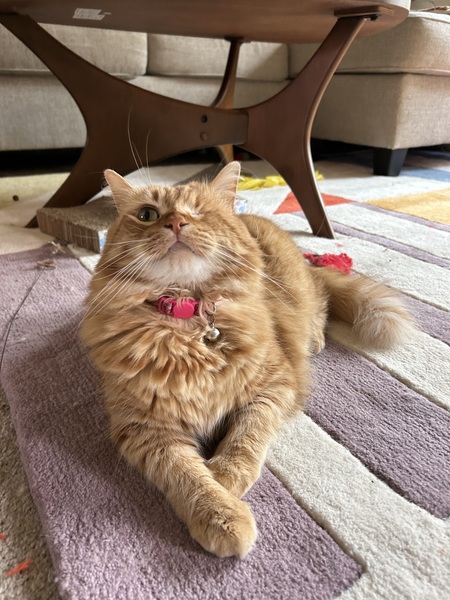 Penny