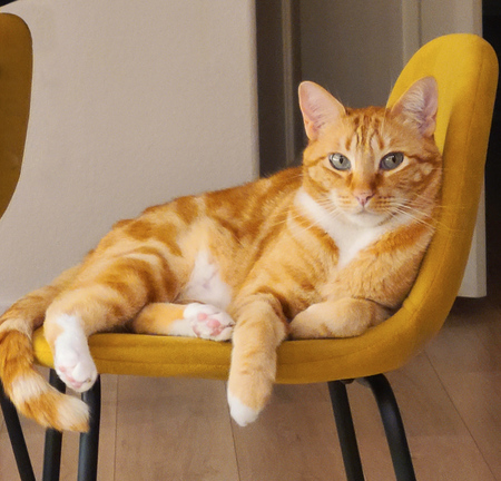 Ginger