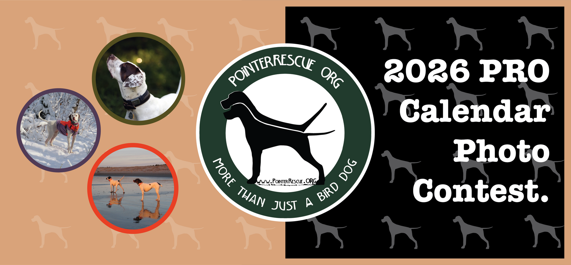 Banner for 2026 PRO Calendar Photo Contest