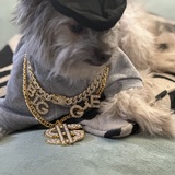 Entry image for Biggie Smalls