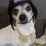 Entry image for Snoop Dogg