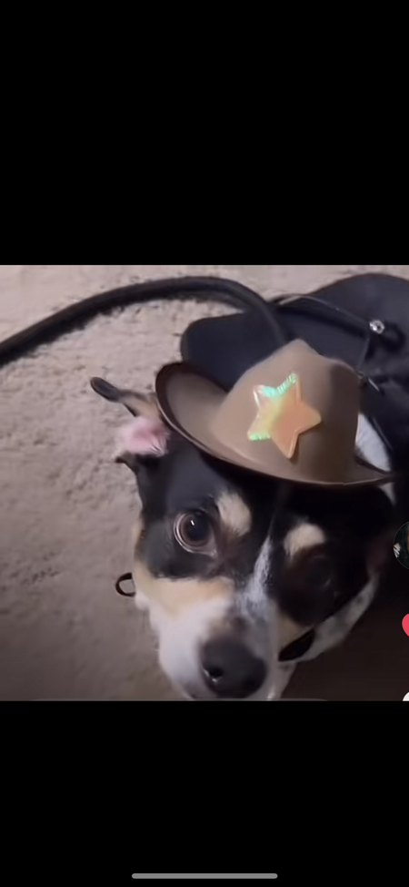 Chance 