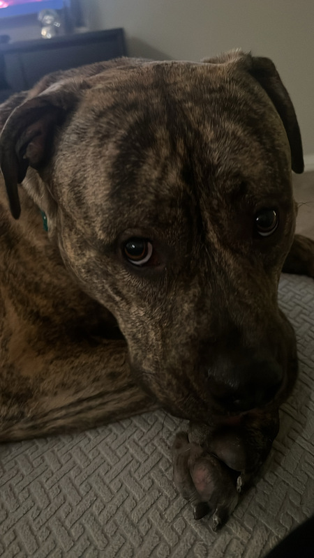Oakley 