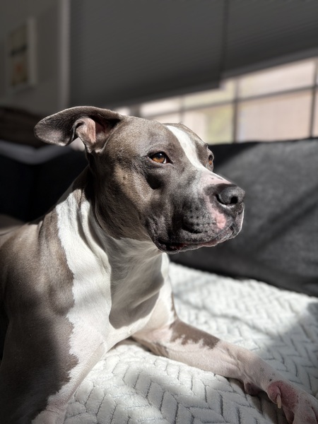 Milo