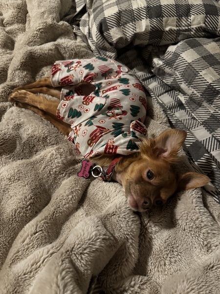Sophie Marie