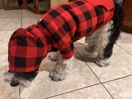 Bogey