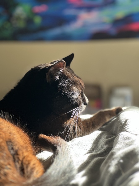 Coco