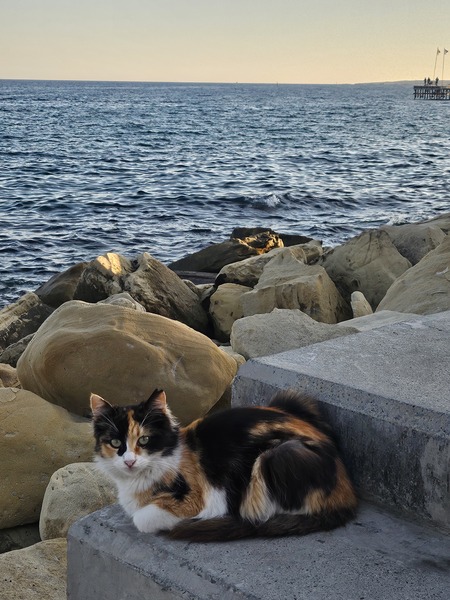 Stavros