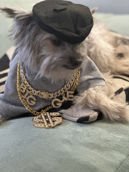 Entry image for Biggie Smalls. Clicking this image will show a larger photo