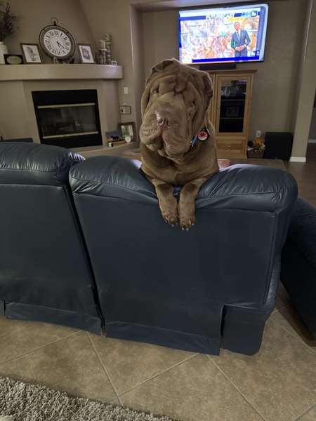 Winston