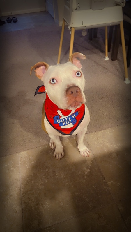 Entry image for Bleu. Clicking this image will show a larger photo