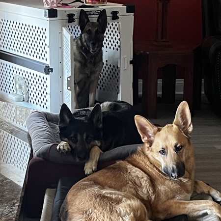 Nova, Nubes, Bella 
