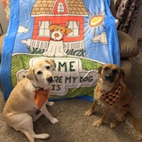 Entry image for Willow and Skylar 