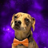 Entry image for Chainsaw Smith