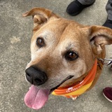 Entry image for Athena Landis-Smith