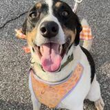 Entry image for Trevor Smith