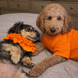 Entry image for Pearl & Walee Whitfield 