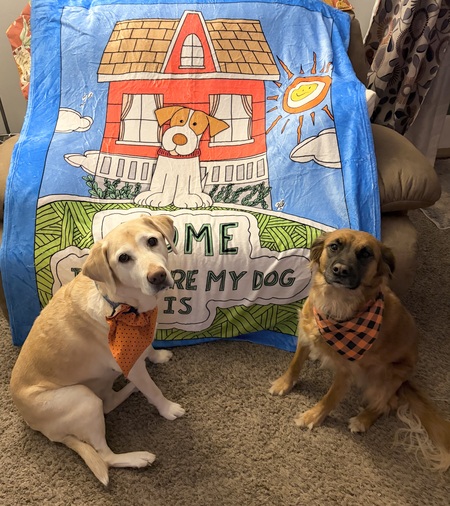 Entry image for Willow and Skylar . Clicking this image will show a larger photo