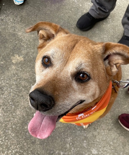 Entry image for Athena Landis-Smith. Clicking this image will show a larger photo