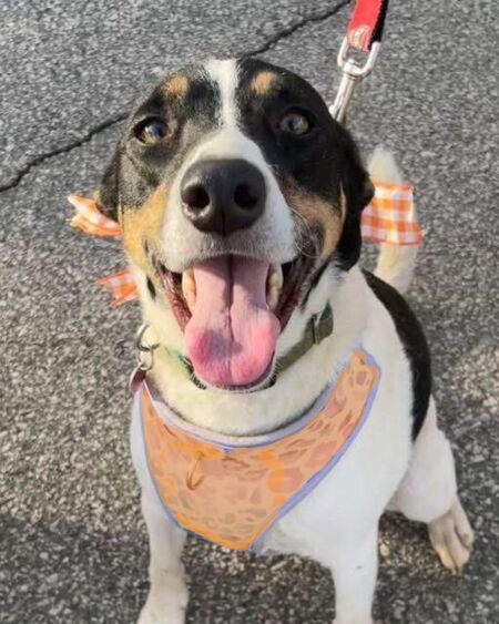 Entry image for Trevor Smith. Clicking this image will show a larger photo