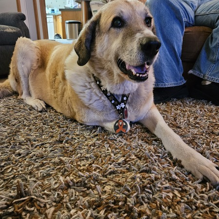 Entry image for Linus. Clicking this image will show a larger photo