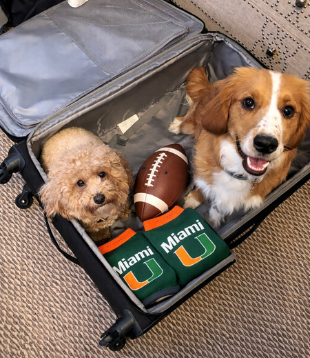 Entry image for Maple and Mia. Clicking this image will show a larger photo